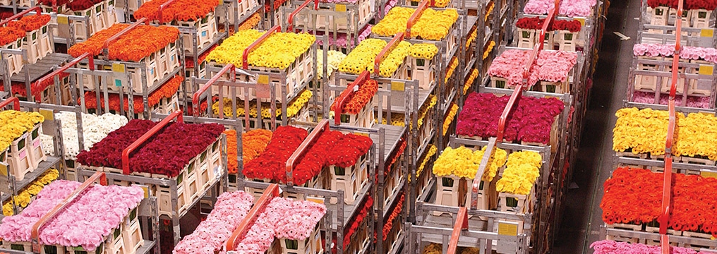 Ein Bereich der Royal FloraHolland, wo Blumensträuße in Kisten gelagert werden.
